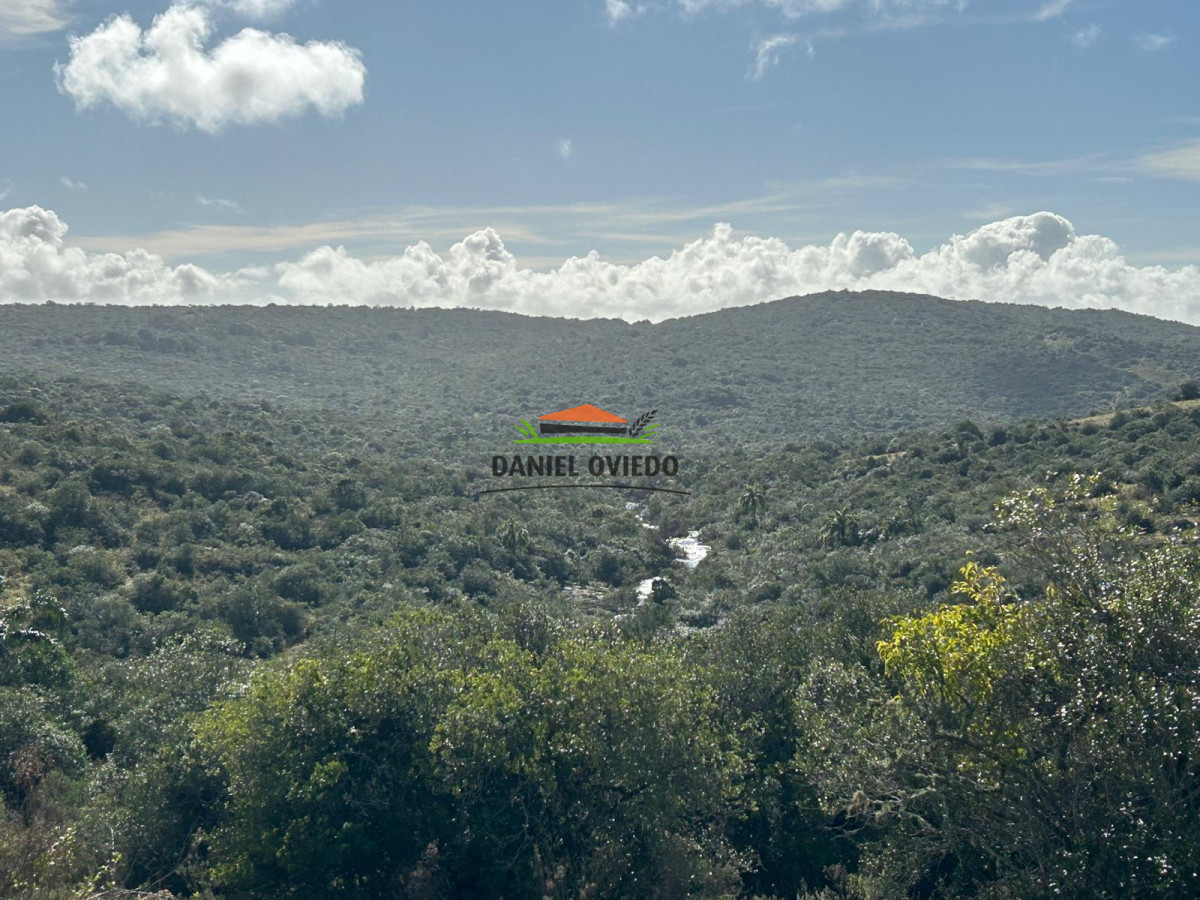 Campo Ref.212 - Estancia El Parao 811 has, en venta en Treinta y Tres.