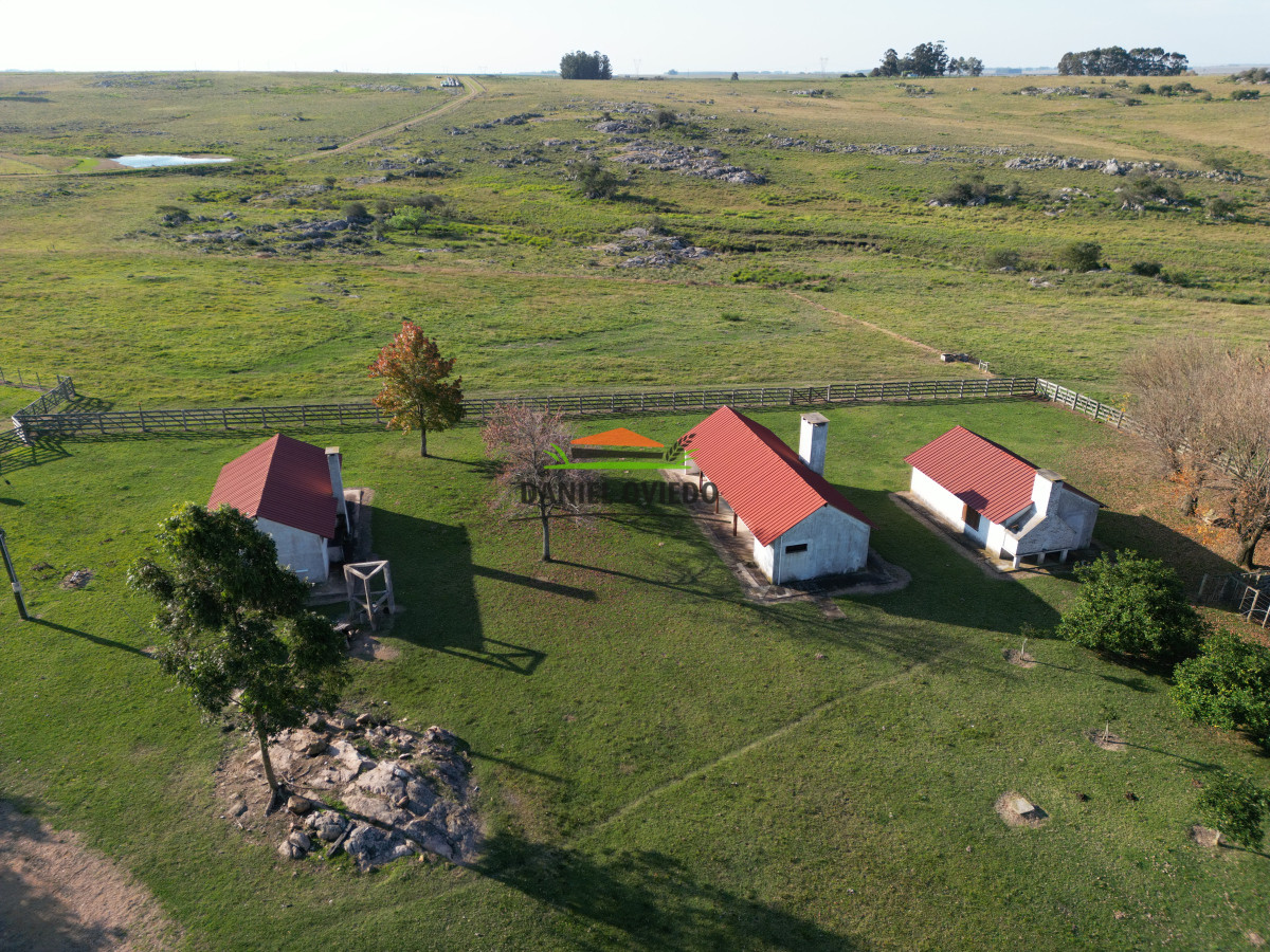 Campo Ref.201/Establecimiento-completo-de-400-h - Establecimiento completo de 400 hás en venta en Flores.