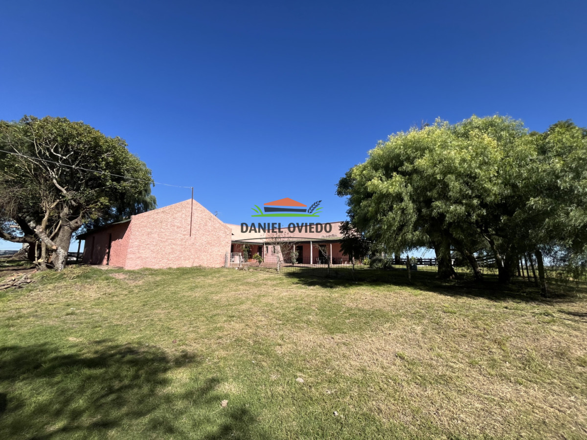 Campo Ref.381/Campo-agr - Campo agrícola en venta en zona de Víboras, Colonia.