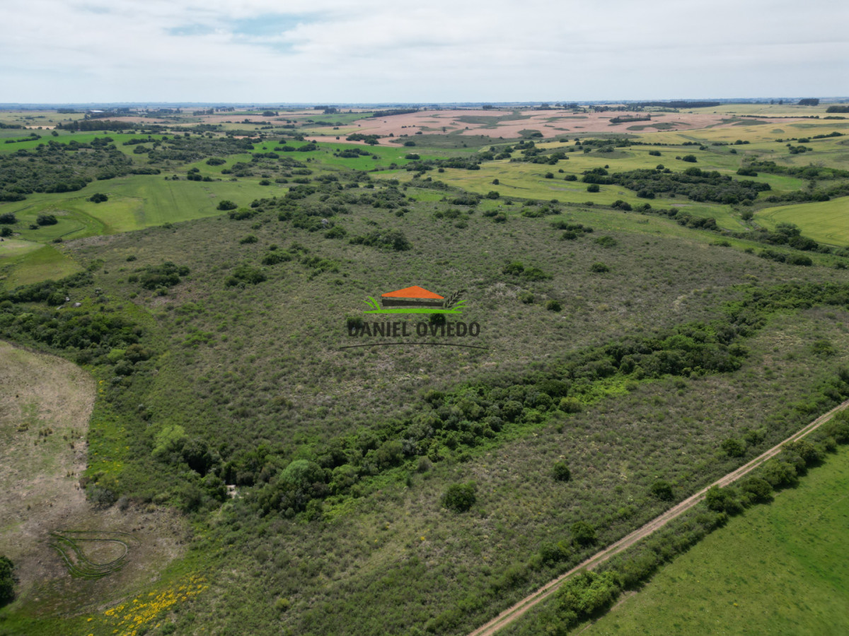 Campo Ref.302/Campo-de-18-hect - Campo de 18 hectáreas descansado con aguadas naturales y suelo fértil 5.02b