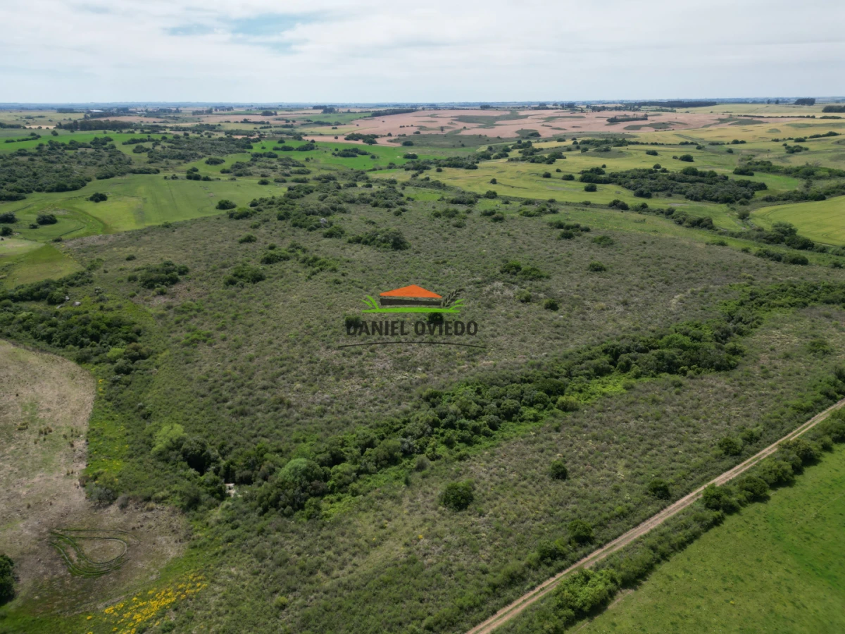 Campo Ref.302/Campo-de-18-hect - Campo de 18 hectáreas descansado con aguadas naturales y suelo fértil 5.02b