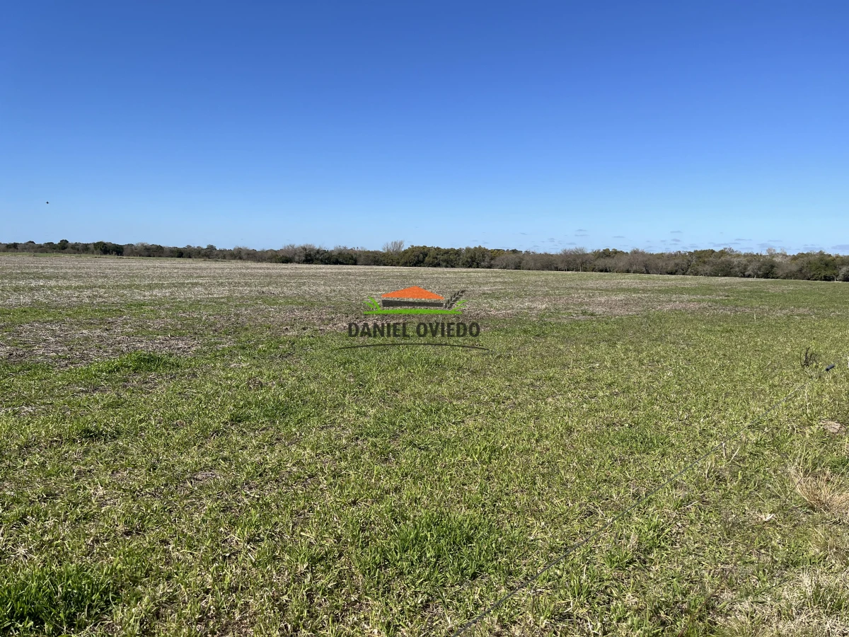 Campo Ref.243/Campo-agrícola-ganadero-en-venta-con-costa-de-arroyo. - Campo agrícola ganadero en venta con costa de arroyo.