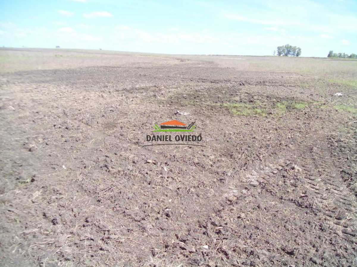Campo Ref.128 - Oportunidad de inversión, campo agrícola-ganadero en venta en Florida.