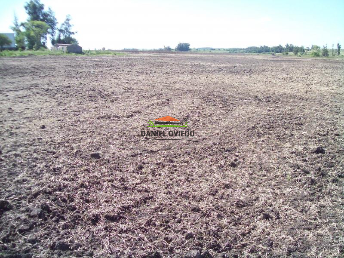 Campo Ref.128 - Oportunidad de inversión, campo agrícola-ganadero en venta en Florida.