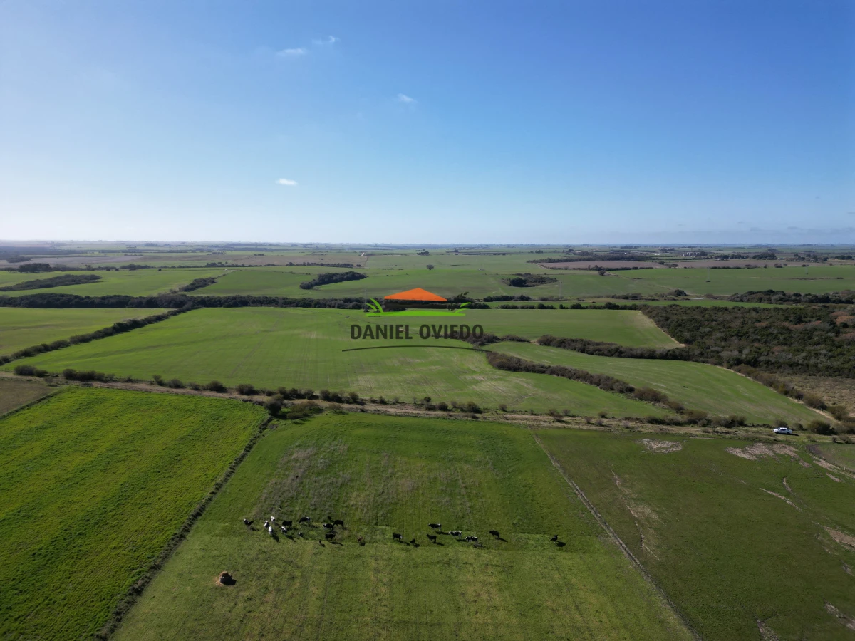 Campo Ref.244/Excelente-campo-agr - Excelente campo agrícola en venta en Víboras, Carmelo.