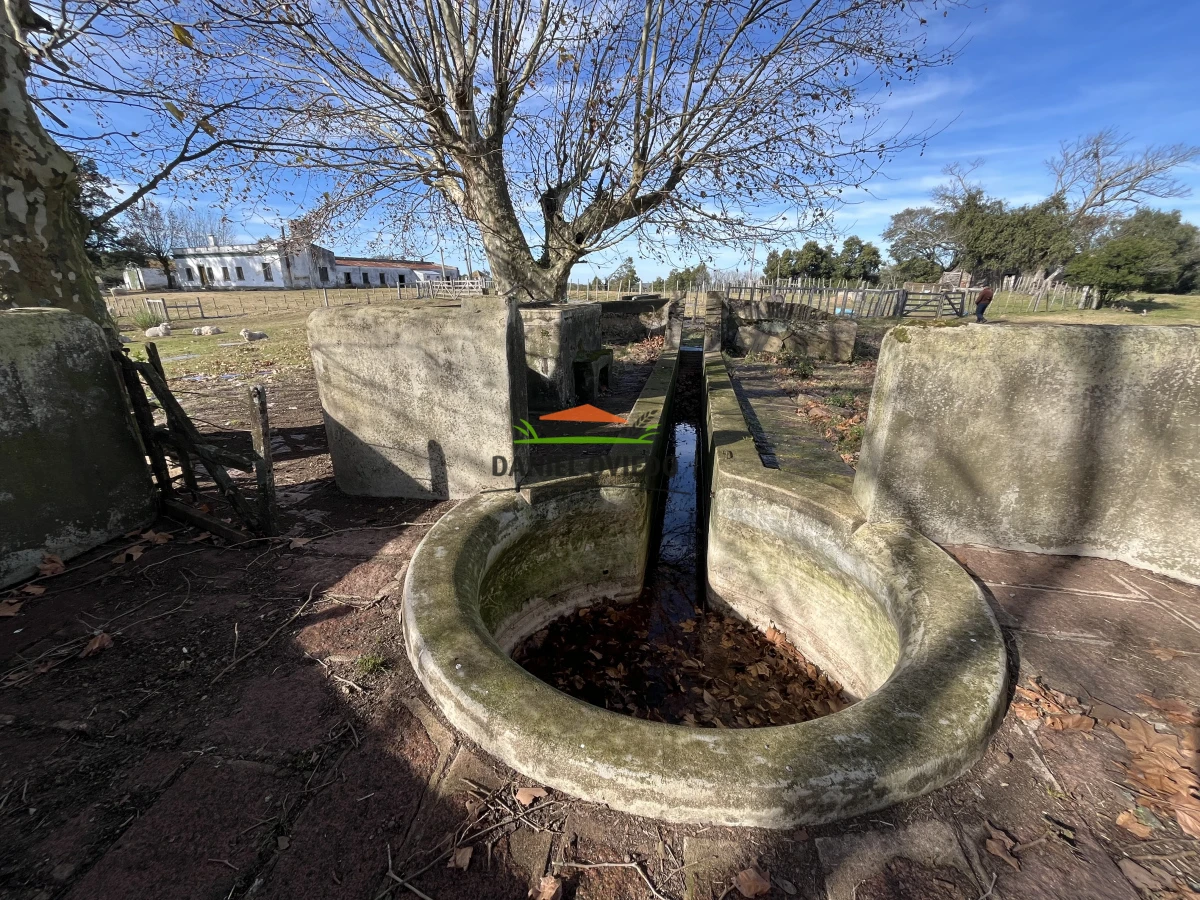 Campo Ref.210/Estancia-ganadera-completa-en-venta-de-2.956-has-en-Cerro-Largo. - Estancia ganadera completa en venta de 2.956 has en Cerro Largo.