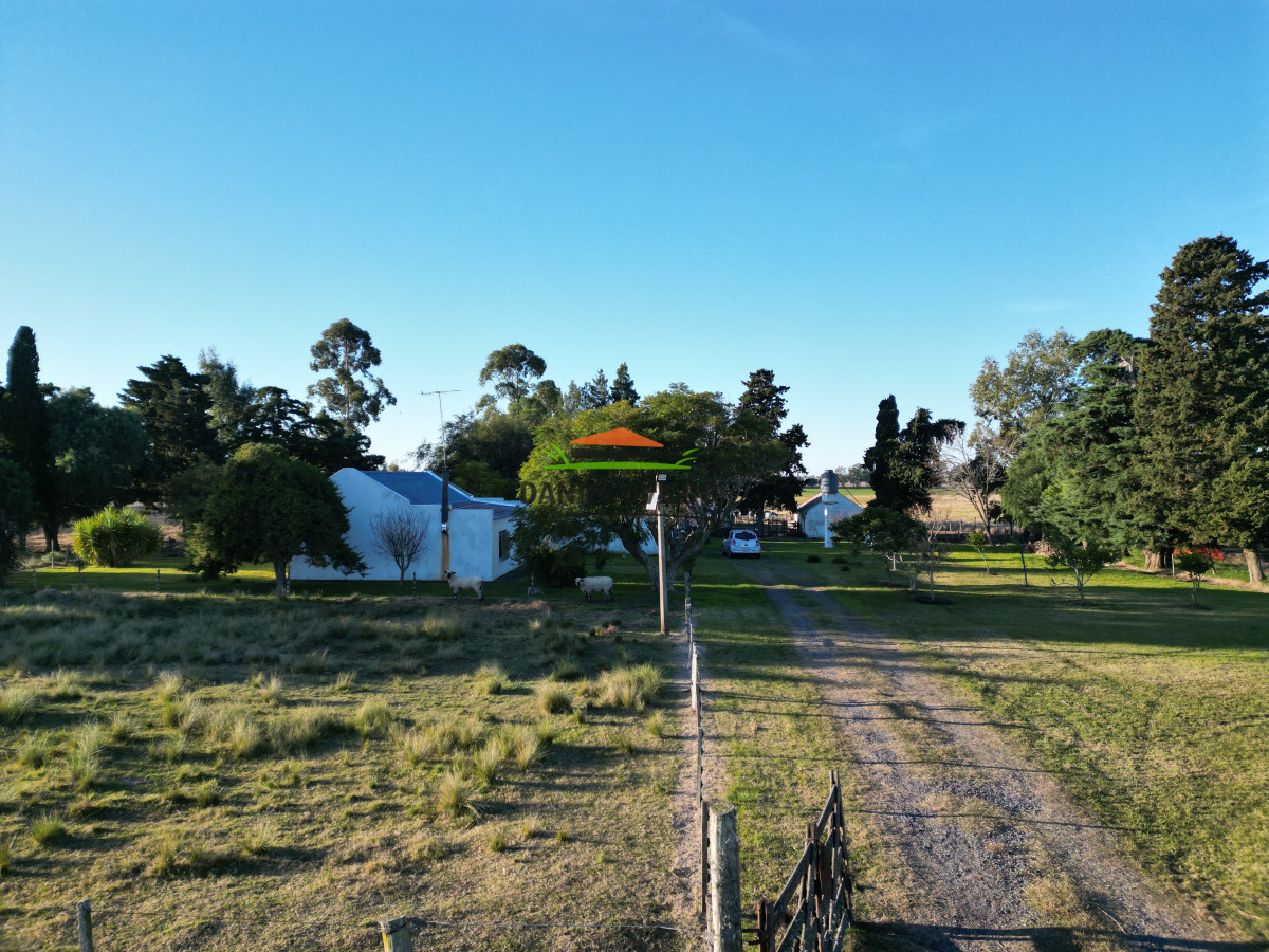 Campo Ref.209 - Excepcional ubicación en ruta 1 y campo productivo donde nadie vende.