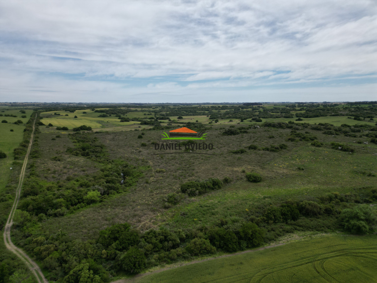 Campo Ref.302/Campo-de-18-hect - Campo de 18 hectáreas descansado con aguadas naturales y suelo fértil 5.02b