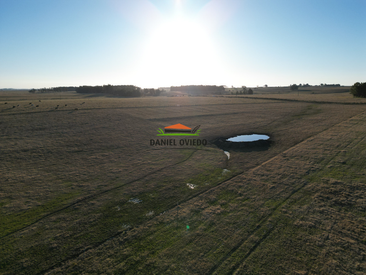 Campo Ref.223/Establecimiento-de-760-hás-en-venta-en-Cerro-Largo. - Establecimiento de 760 hás en venta en Cerro Largo.