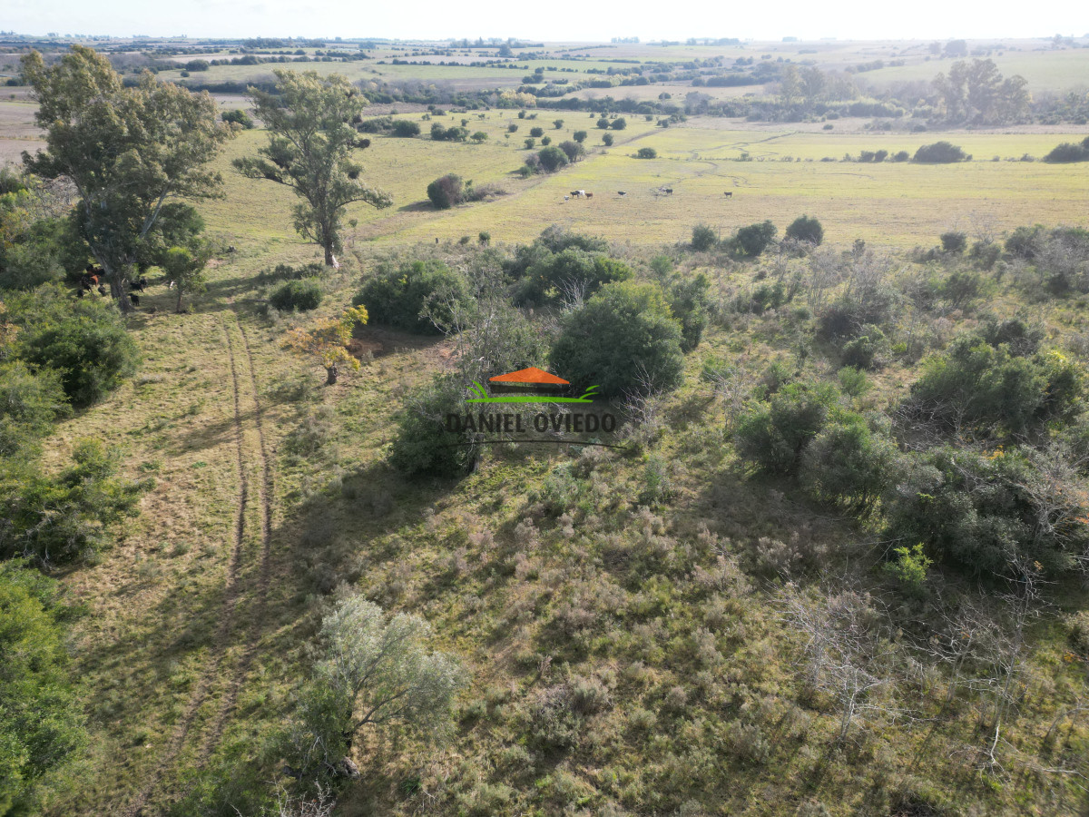 Campo Ref.208 - Campo agrícola ganadero de 20,95 has en Miguelete de Campana.