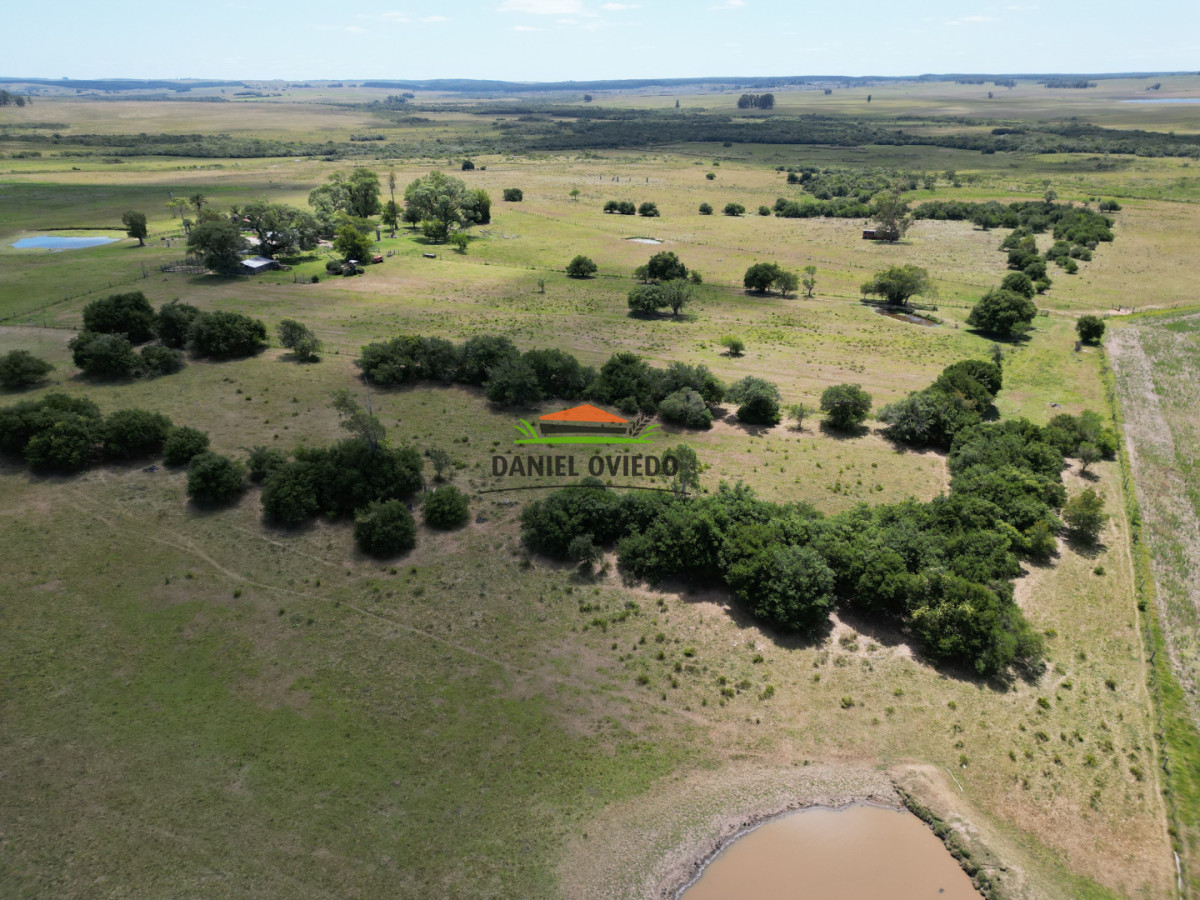 Campo Ref.359/Estancia-de-945-has-en-venta-en-Cerro-Largo. - Estancia de 945 has en venta en Cerro Largo.