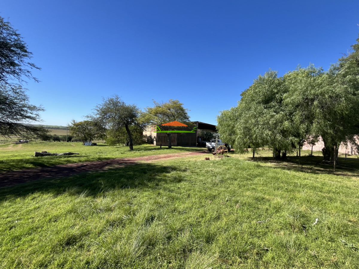 Campo Ref.381/Campo-agr - Campo agrícola en venta en zona de Víboras, Colonia.