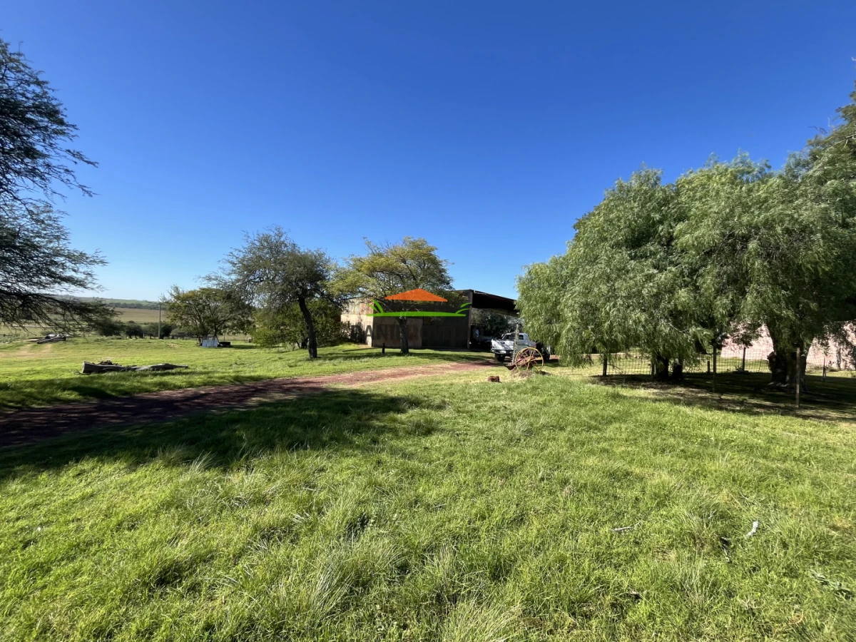 Campo Ref.381/Campo-agr - Campo agrícola en venta en zona de Víboras, Colonia.