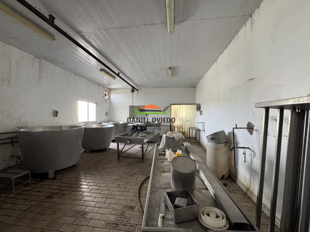 Campo Ref.377/Establecimiento-con-f - Establecimiento con fábrica y 33 Hás de campo - Instalaciones y equipamiento incluidos | Colonia