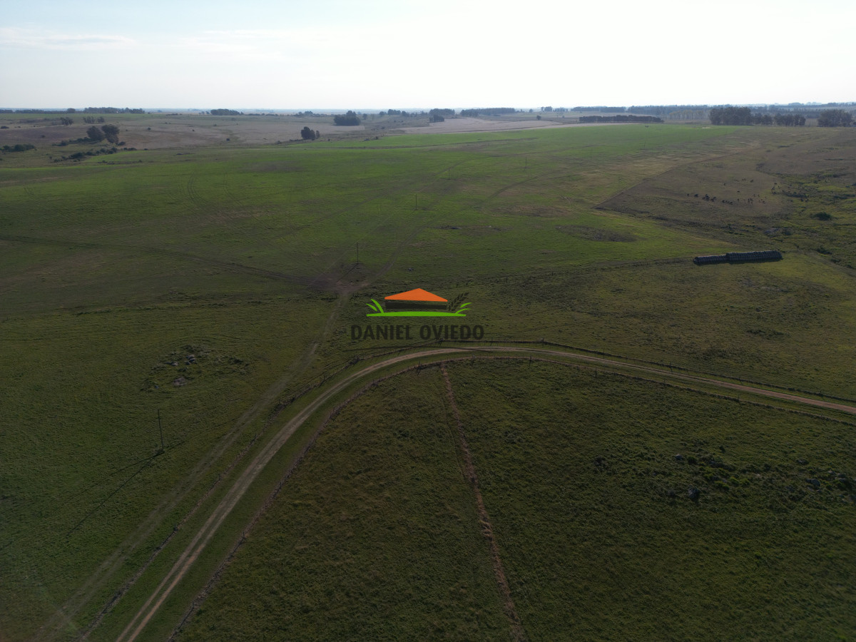 Campo Ref.201/Establecimiento-completo-de-400-h - Establecimiento completo de 400 hás en venta en Flores.