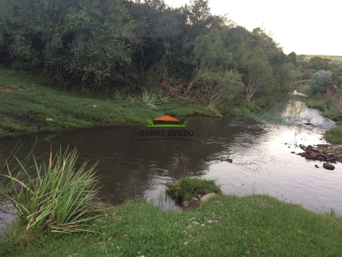 Campo Ref.354/Establecimiento-completo-campo-criador,-ganadero-en-venta-de-302-has. - Establecimiento completo campo criador, ganadero en venta de 302 has.