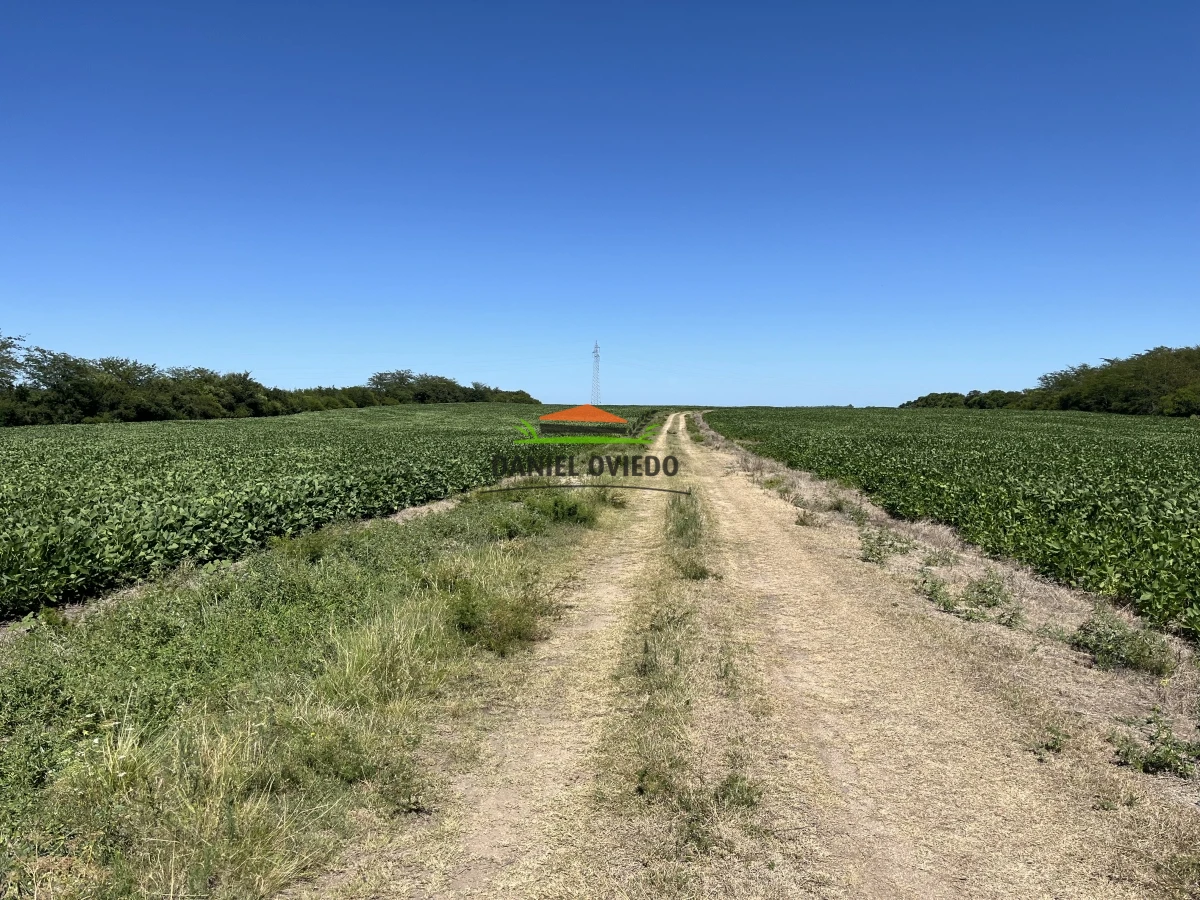 Campo Ref.17 - Campo agrícola - ganadero de 143 hás en venta, Conchillas.