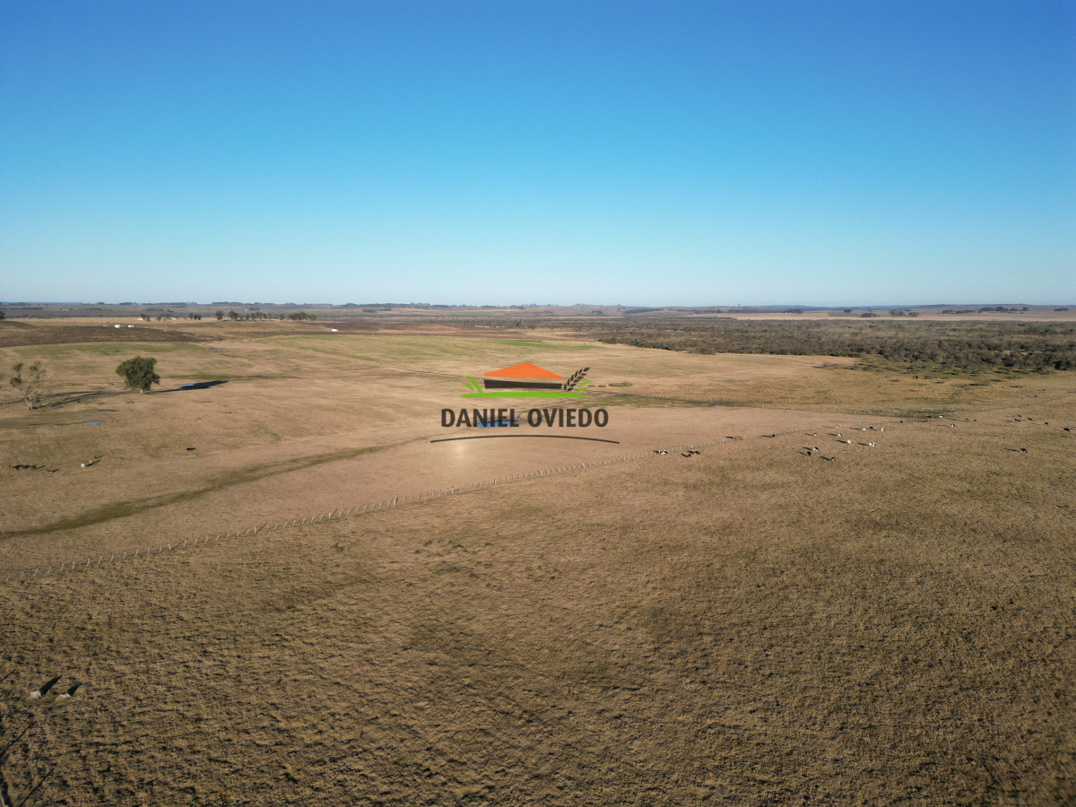 Campo Ref.223/Establecimiento-de-760-hás-en-venta-en-Cerro-Largo. - Establecimiento de 760 hás en venta en Cerro Largo.