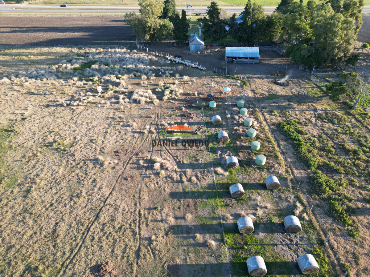 Campo Ref.209 - Excepcional ubicación en ruta 1 y campo productivo donde nadie vende.