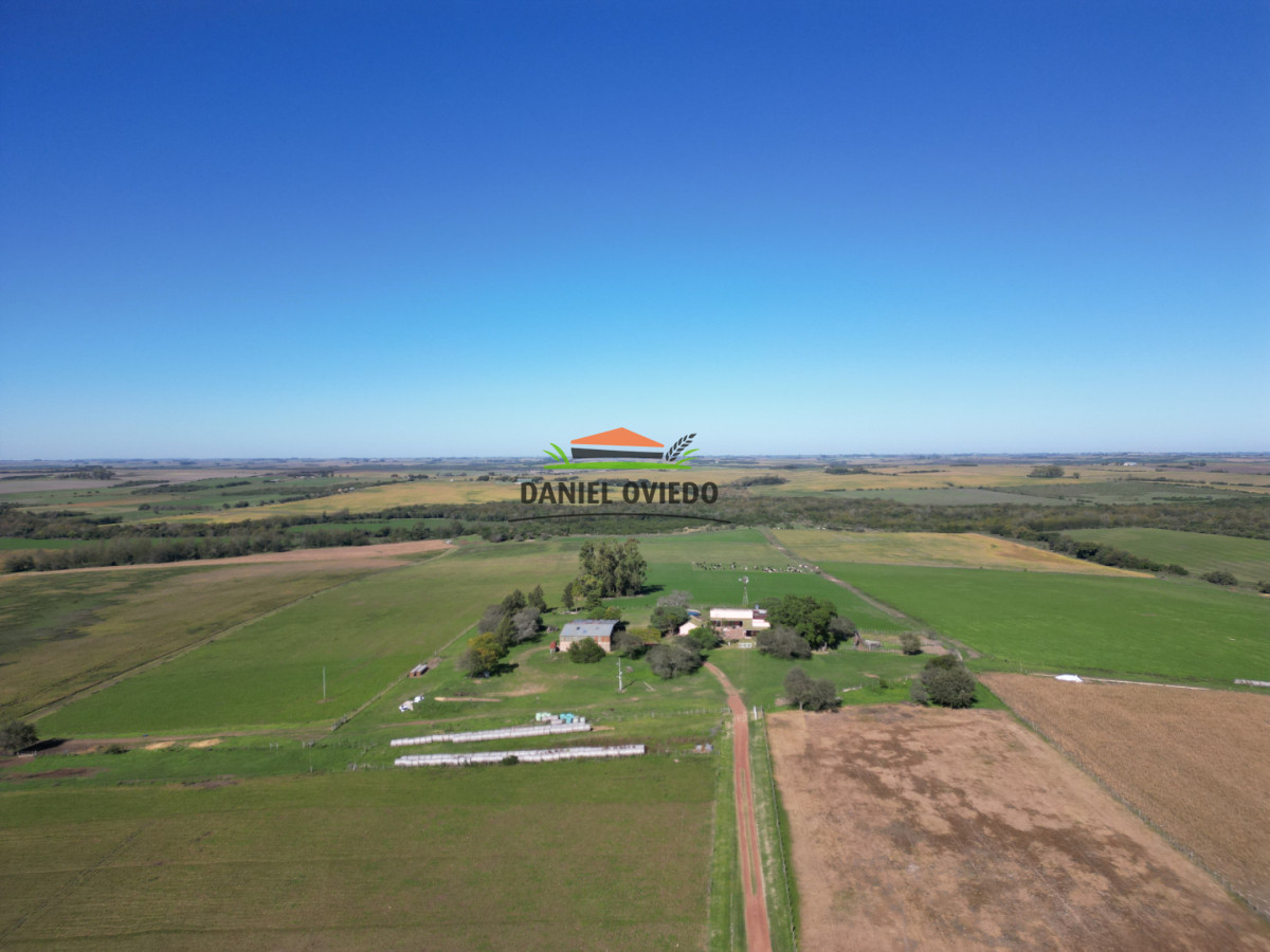 Campo Ref.381/Campo-agr - Campo agrícola en venta en zona de Víboras, Colonia.