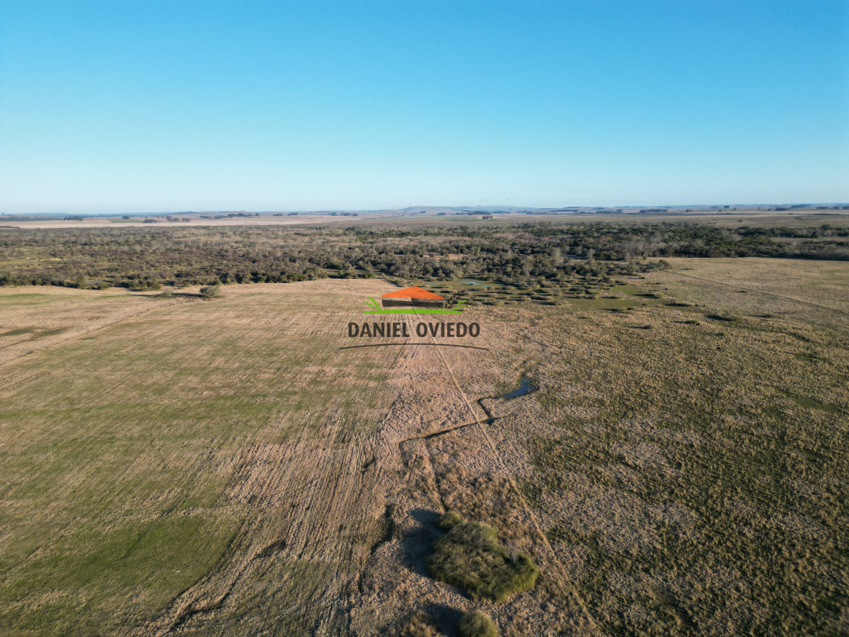 Campo Ref.223/Establecimiento-de-760-hás-en-venta-en-Cerro-Largo. - Establecimiento de 760 hás en venta en Cerro Largo.