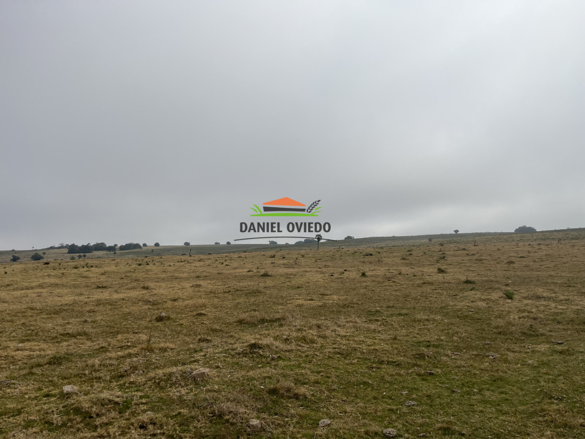 Campo Ref.247/Establecimiento-completo-en-venta-de-240-hás-en-venta-en-Cerro-Largo. - Establecimiento completo en venta de 240 hás en venta en Cerro Largo.