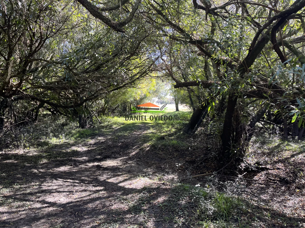 Campo Ref.243/Campo-agrícola-ganadero-en-venta-con-costa-de-arroyo. - Campo agrícola ganadero en venta con costa de arroyo.