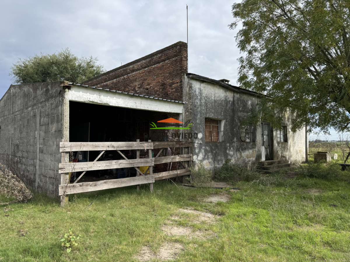 Campo Ref.377/Establecimiento-con-f - Establecimiento con fábrica y 33 Hás de campo - Instalaciones y equipamiento incluidos | Colonia