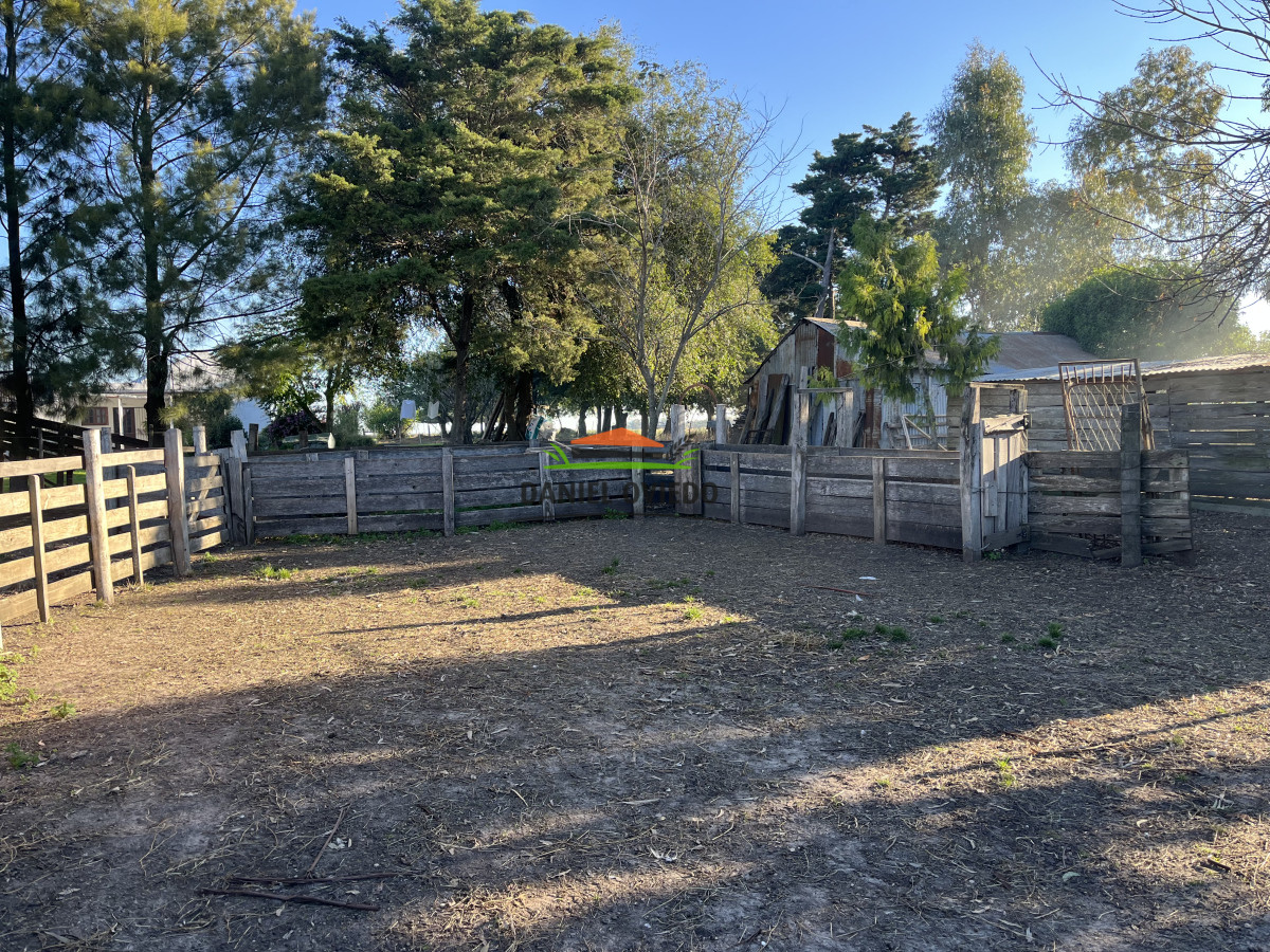 Campo Ref.209 - Excepcional ubicación en ruta 1 y campo productivo donde nadie vende.