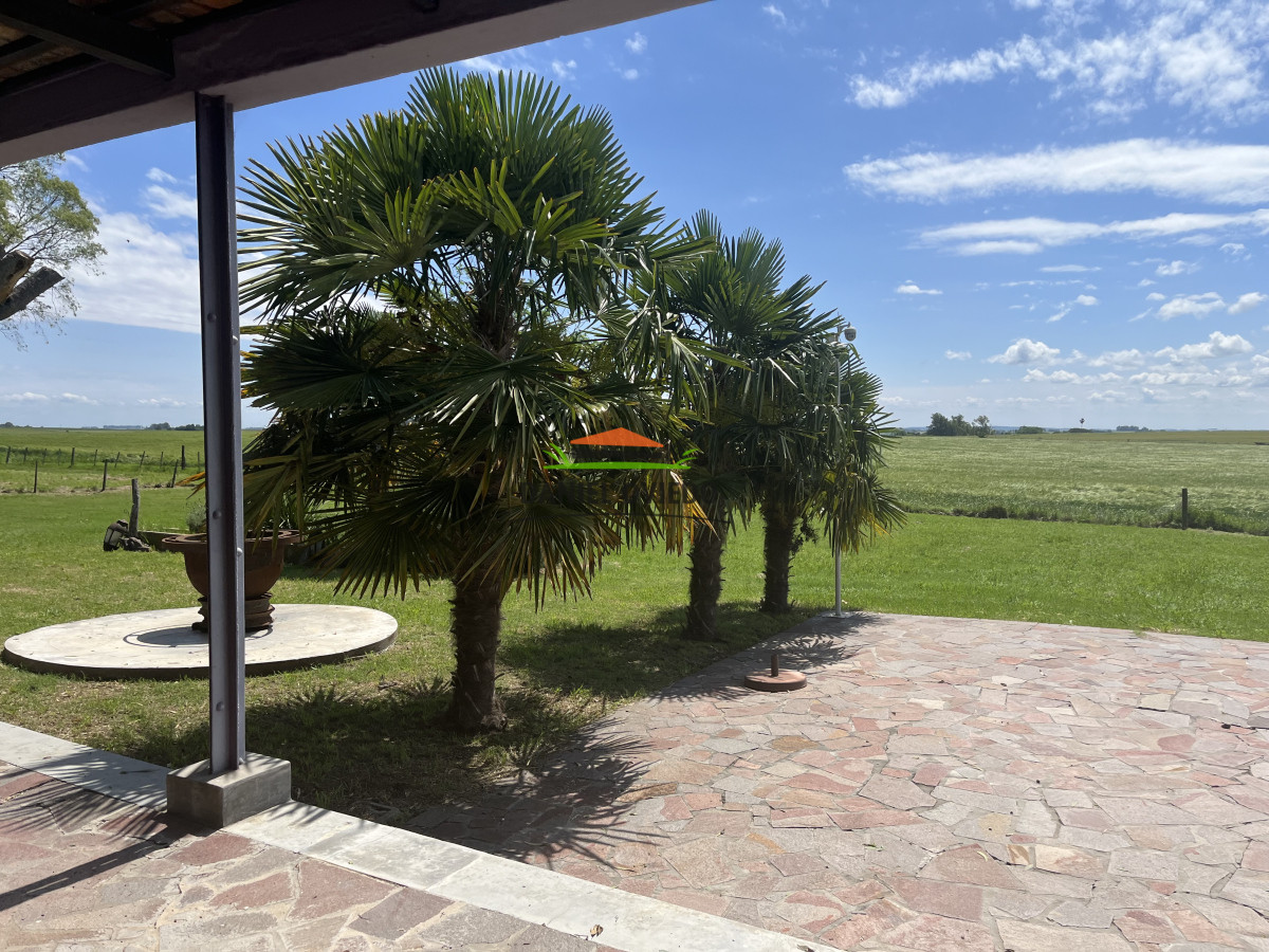 Campo Ref.38 - Campo con suelos premium y excelente casco en el corazón de San Pedro.