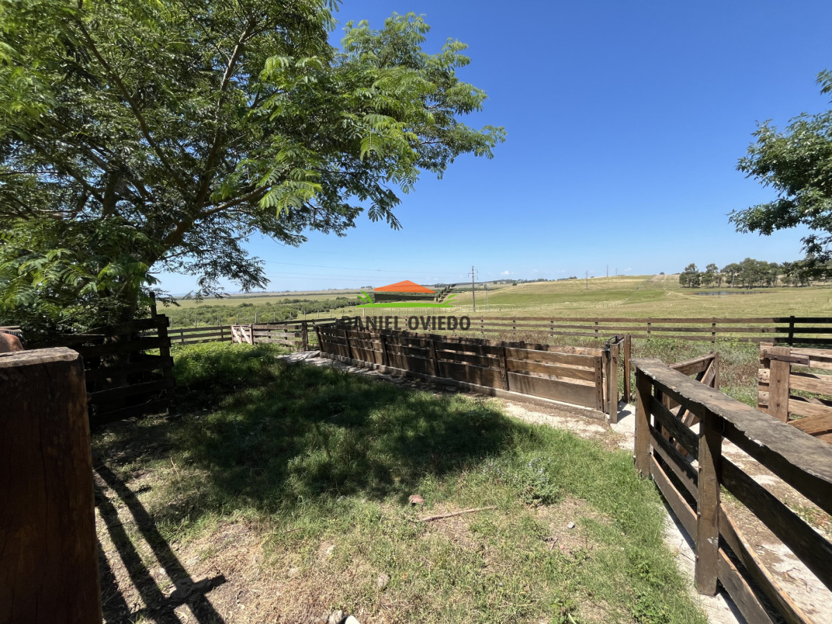 Campo Ref.357/Muy-buen-establecimiento-completo-en-venta-en-ruta-26-proximo-a-Melo. - Muy buen establecimiento completo en venta en ruta 26 proximo a Melo.