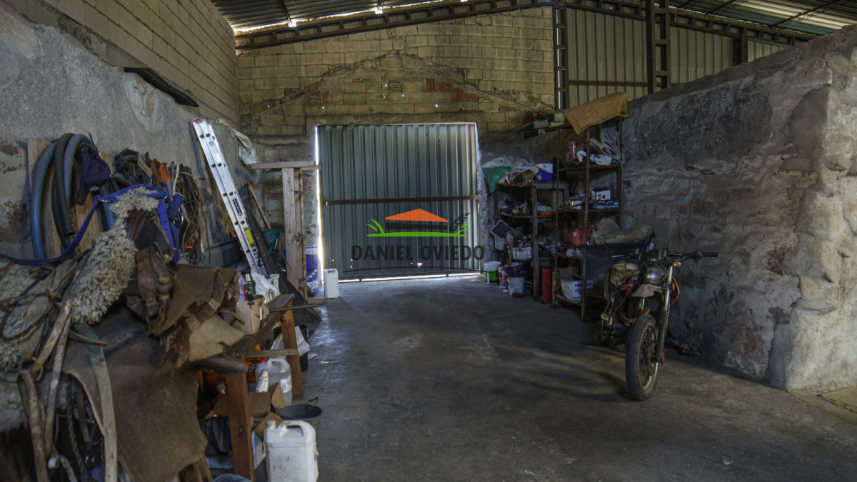 Campo Ref.327/Campo-con-Olivos-de-320-has-en-venta-en-Maldonado. - Campo con Olivos de 320 has en venta en Maldonado.