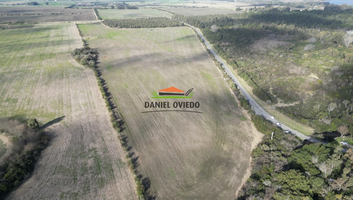 Campo Ref.235/Campo-agr - Campo agrícola de 23.8 has próximo a balneario Artilleros.