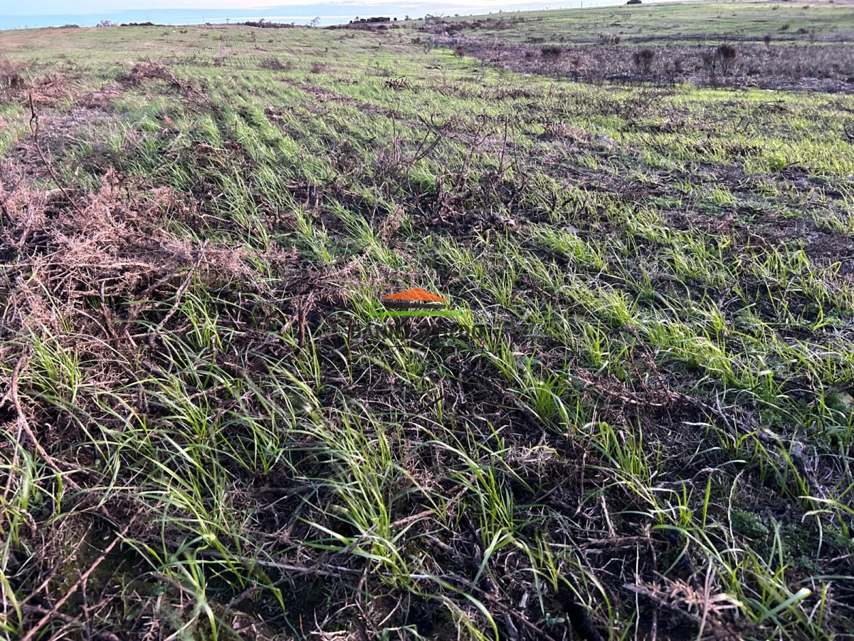 Campo Ref.210/Estancia-ganadera-completa-en-venta-de-2.956-has-en-Cerro-Largo. - Estancia ganadera completa en venta de 2.956 has en Cerro Largo.