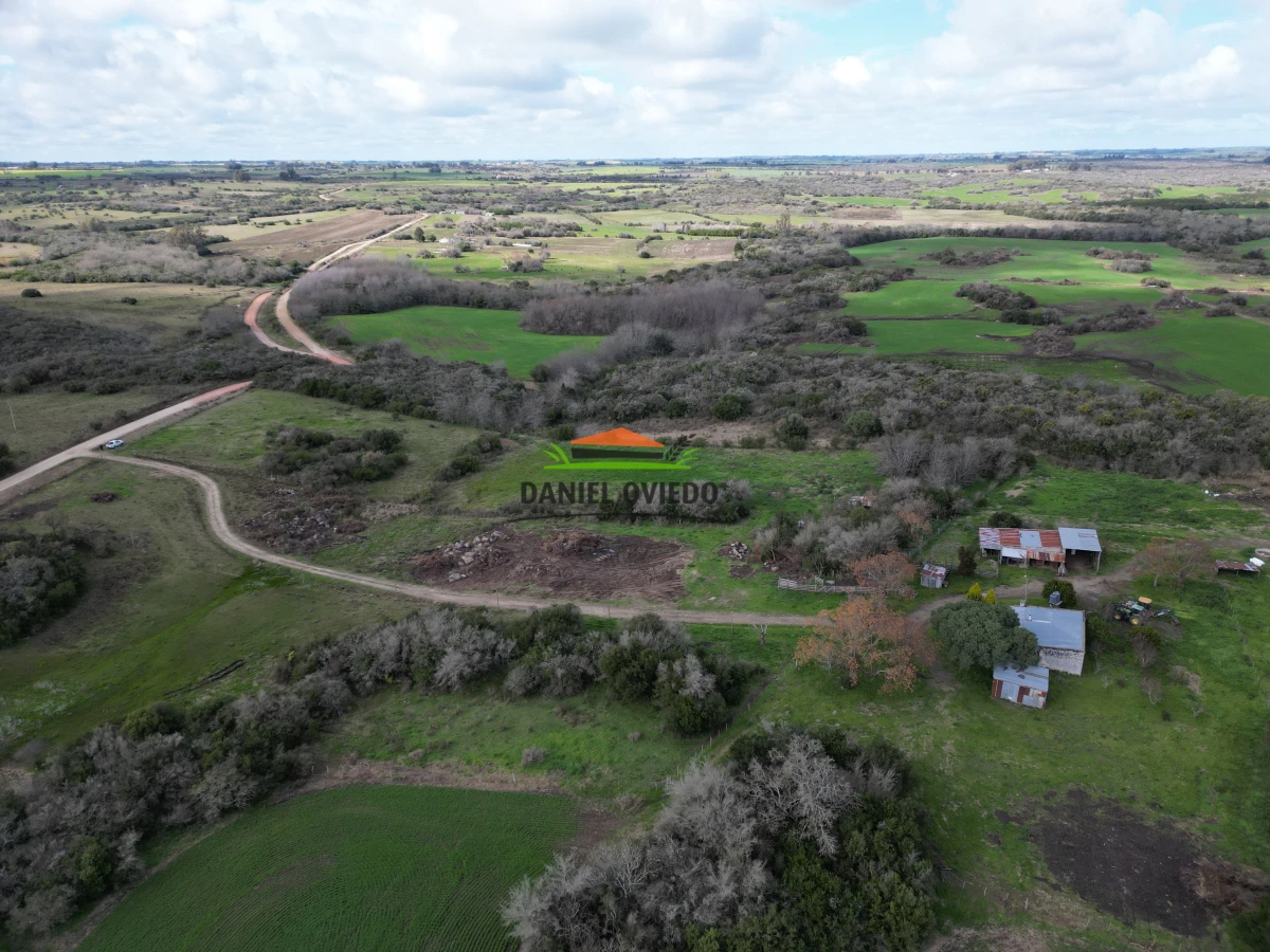 Campo Ref.249/Buen-campo-ganadero-en-venta-ideal-para-engorde. - Buen campo ganadero en venta ideal para engorde.
