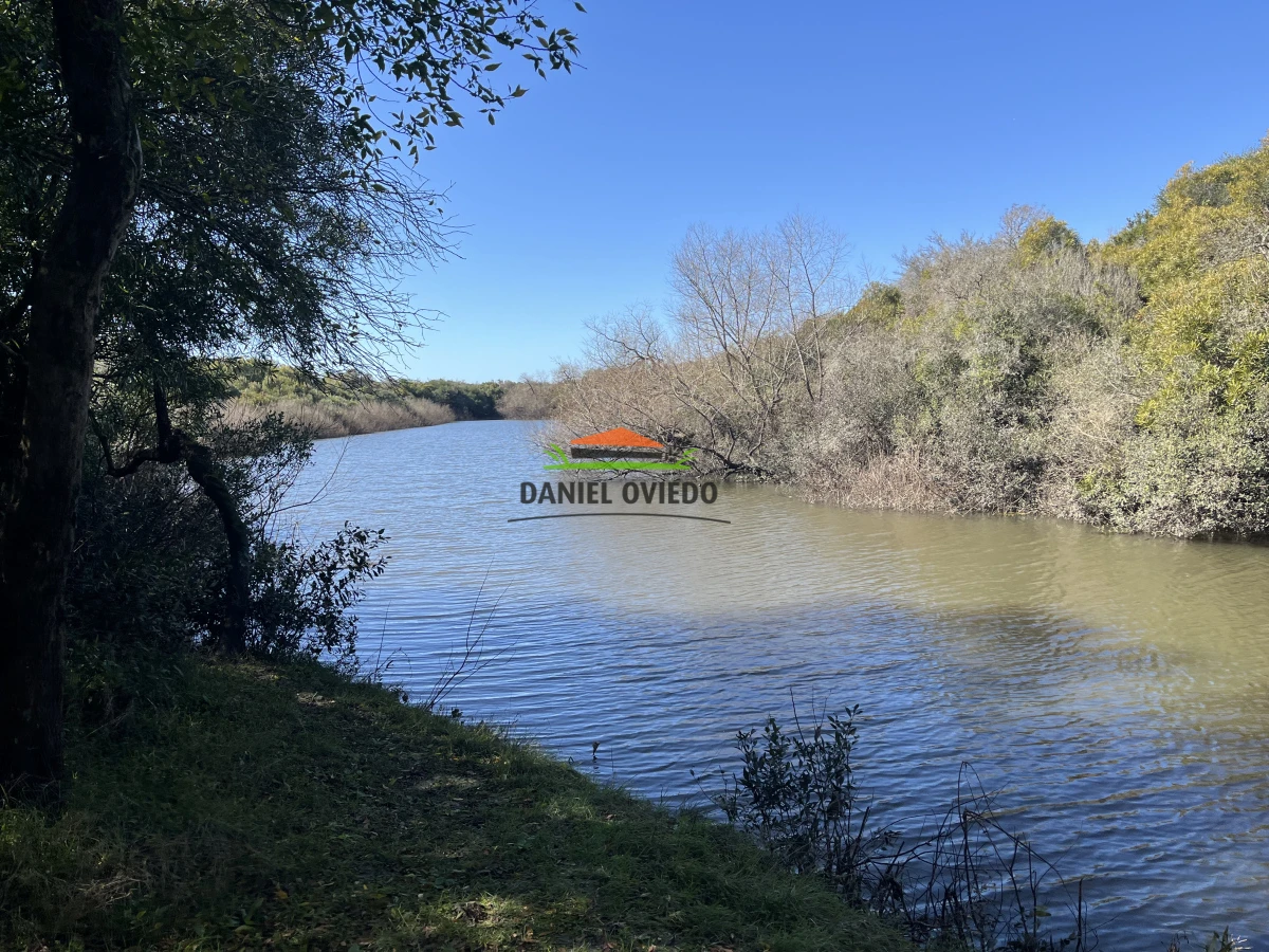 Campo Ref.243/Campo-agrícola-ganadero-en-venta-con-costa-de-arroyo. - Campo agrícola ganadero en venta con costa de arroyo.