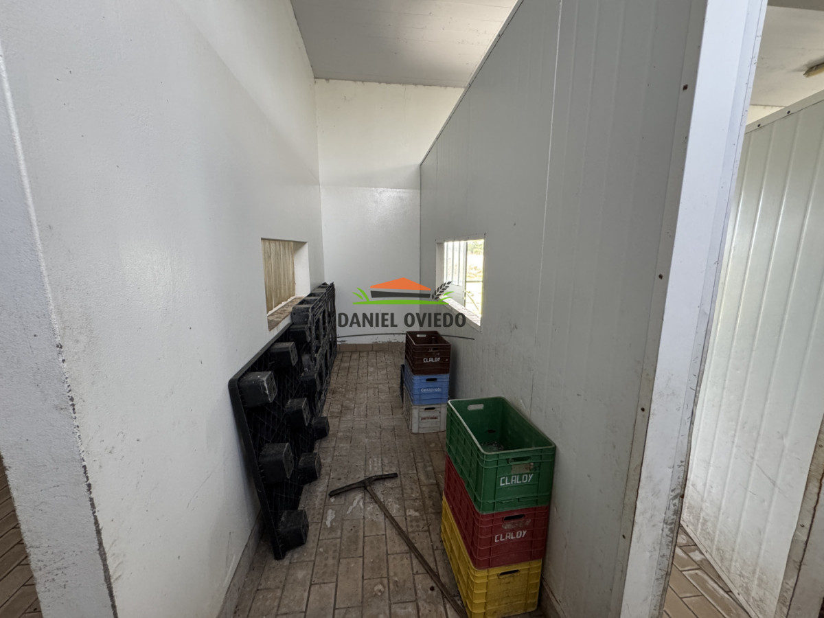 Campo Ref.377/Establecimiento-con-f - Establecimiento con fábrica y 33 Hás de campo - Instalaciones y equipamiento incluidos | Colonia