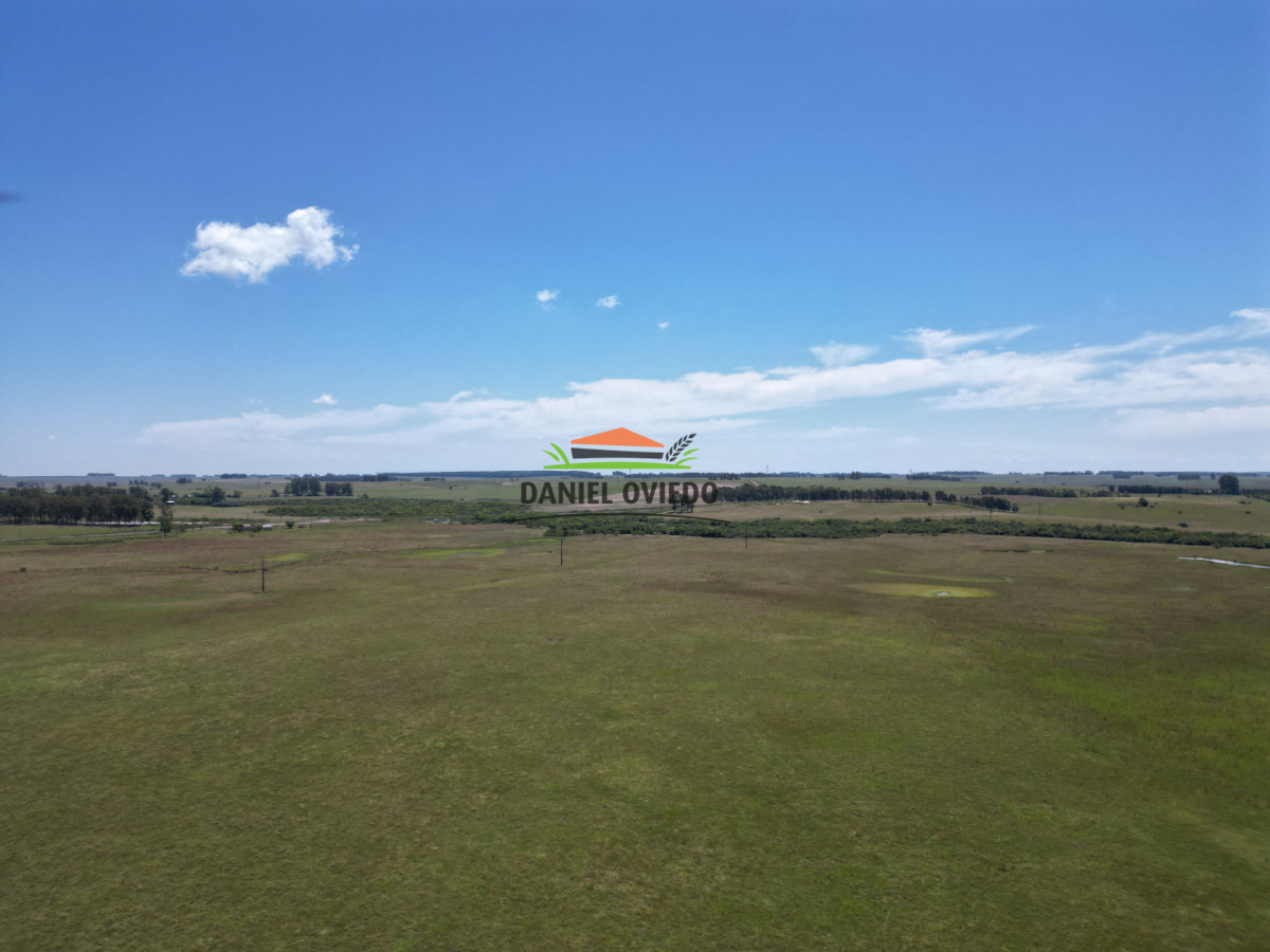 Campo Ref.357/Muy-buen-establecimiento-completo-en-venta-en-ruta-26-proximo-a-Melo. - Muy buen establecimiento completo en venta en ruta 26 proximo a Melo.