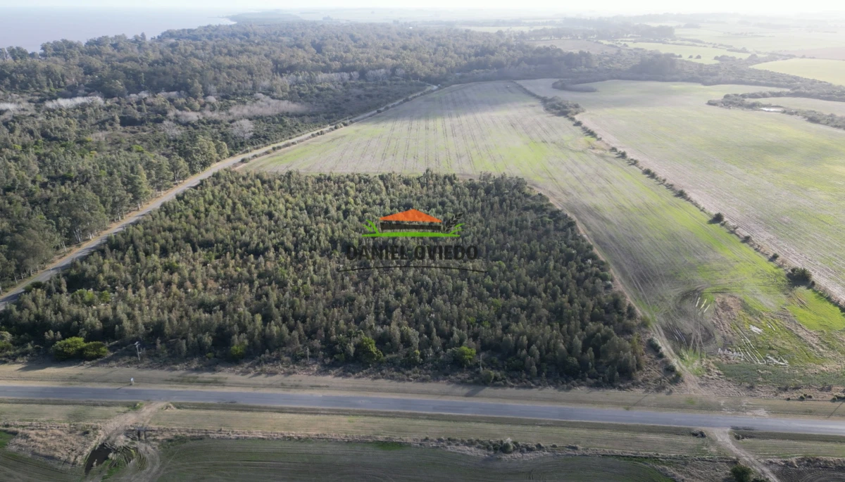 Campo Ref.235/Campo-agr - Campo agrícola de 23.8 has próximo a balneario Artilleros.