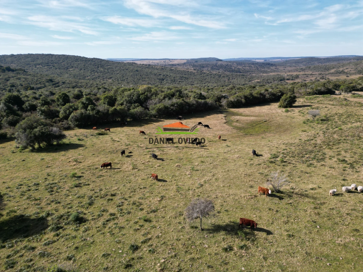 Campo Ref.210/Estancia-ganadera-completa-en-venta-de-2.956-has-en-Cerro-Largo. - Estancia ganadera completa en venta de 2.956 has en Cerro Largo.