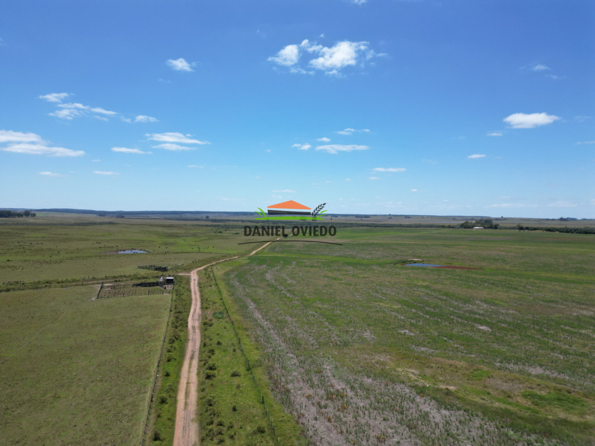 Campo Ref.359/Estancia-de-945-has-en-venta-en-Cerro-Largo. - Estancia de 945 has en venta en Cerro Largo.