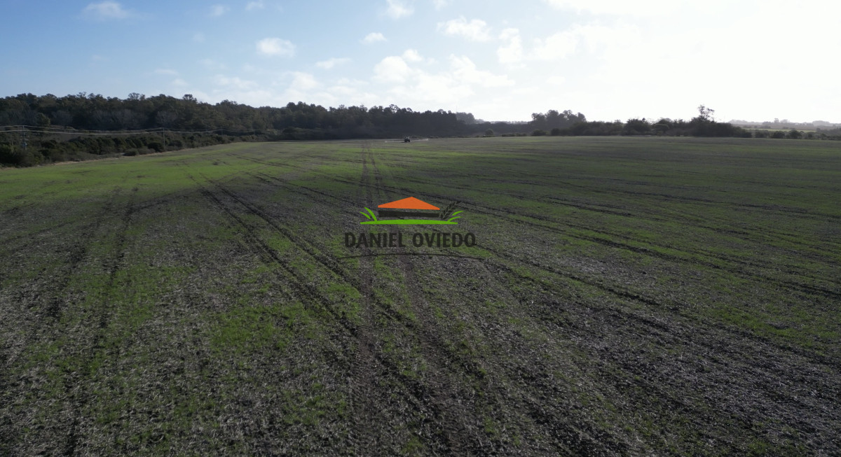Campo Ref.235/Campo-agrícola-de-23.8-has-próximo-a-balneario-Artilleros. - Campo agrícola de 23.8 has próximo a balneario Artilleros.