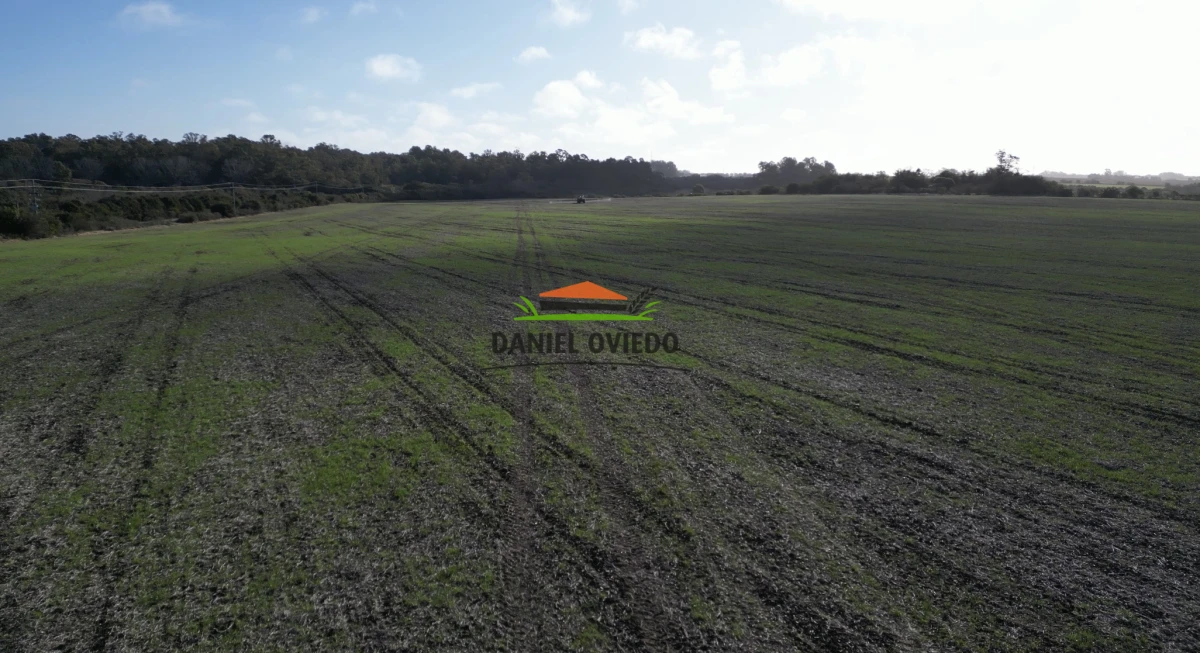Campo Ref.235/Campo-agr - Campo agrícola de 23.8 has próximo a balneario Artilleros.