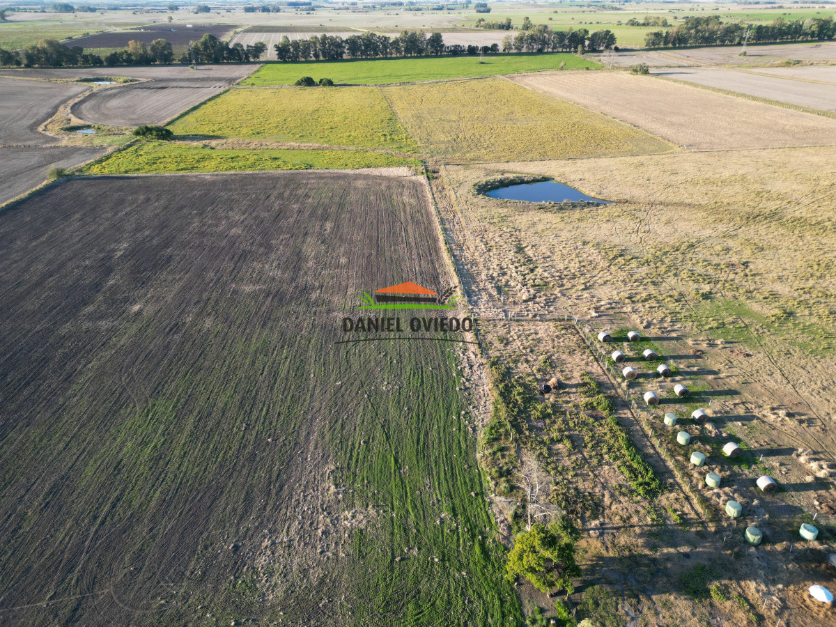 Campo Ref.209 - Excepcional ubicación en ruta 1 y campo productivo donde nadie vende.