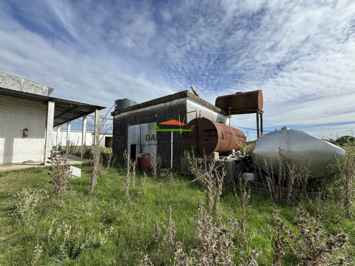 Campo Ref.377/Establecimiento-con-f - Establecimiento con fábrica y 33 Hás de campo - Instalaciones y equipamiento incluidos | Colonia