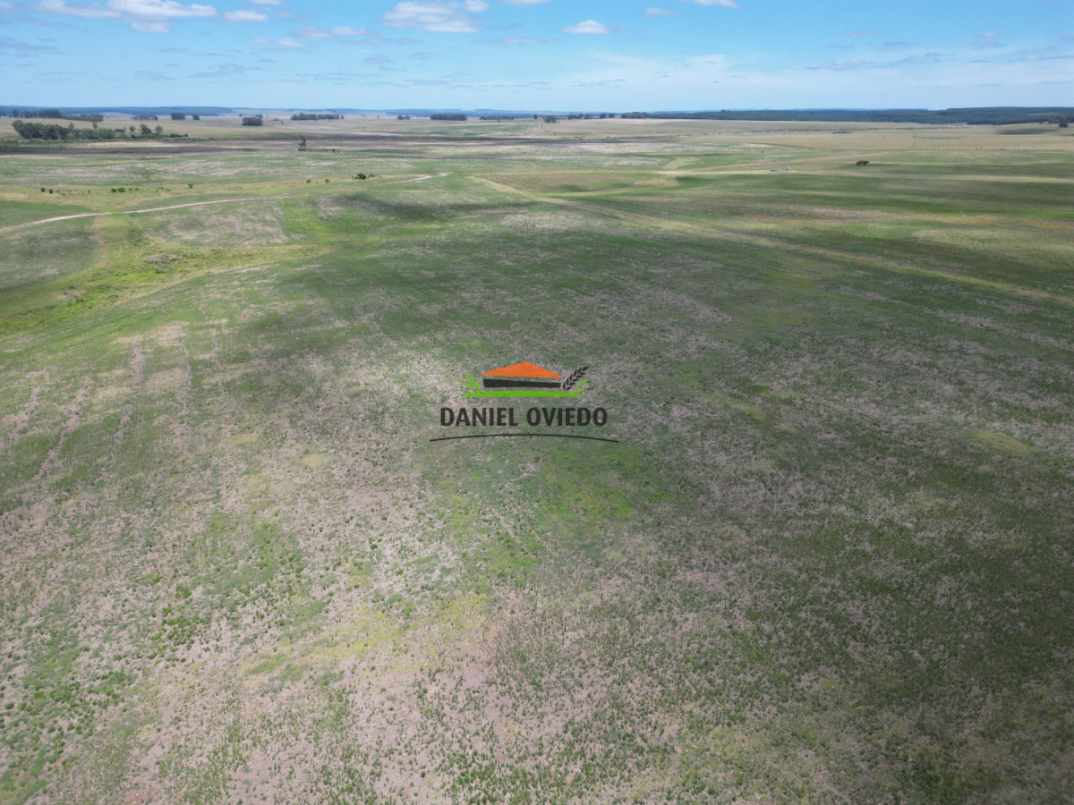 Campo Ref.359/Estancia-de-945-has-en-venta-en-Cerro-Largo. - Estancia de 945 has en venta en Cerro Largo.