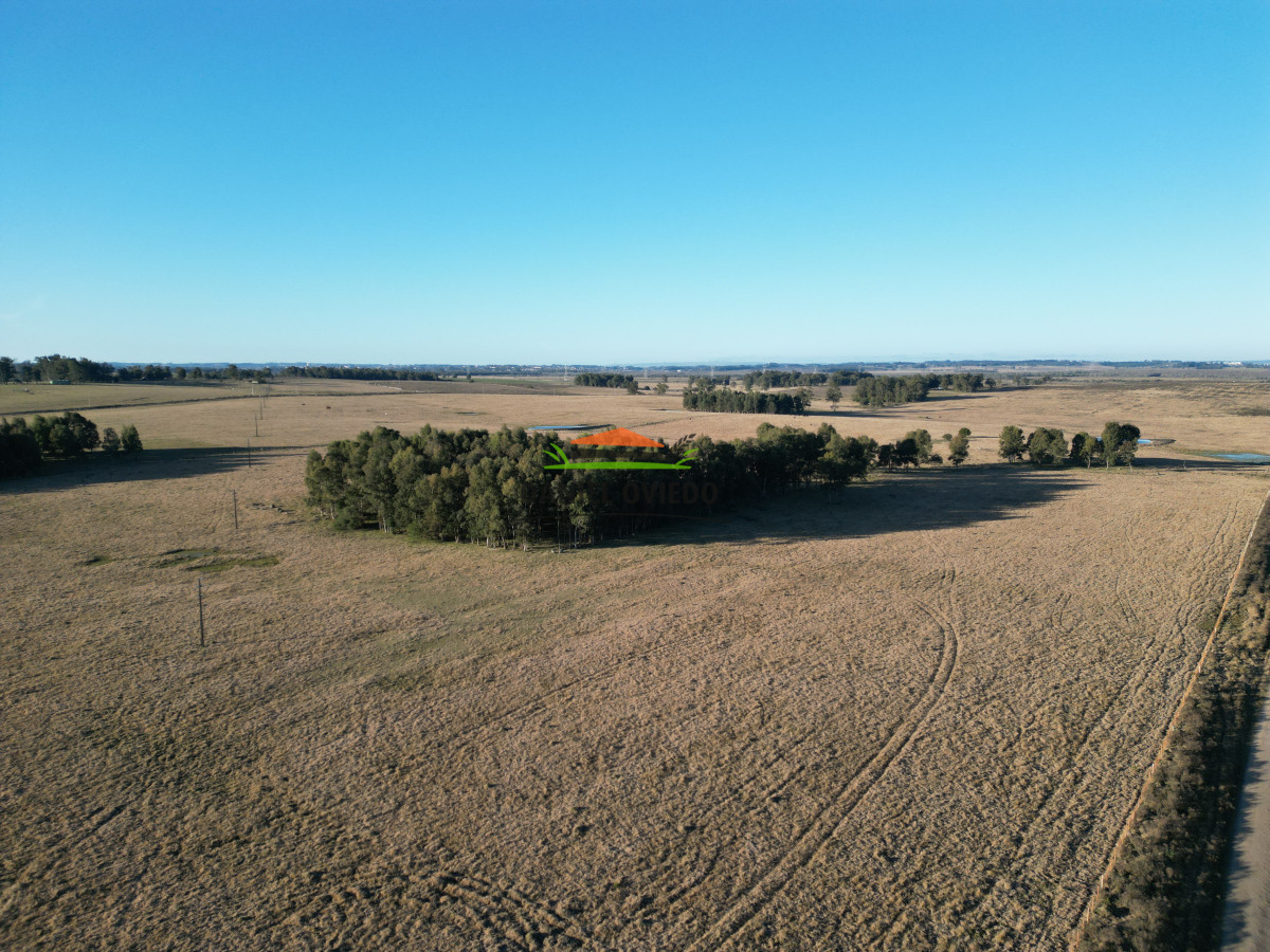 Campo Ref.223/Establecimiento-de-760-hás-en-venta-en-Cerro-Largo. - Establecimiento de 760 hás en venta en Cerro Largo.