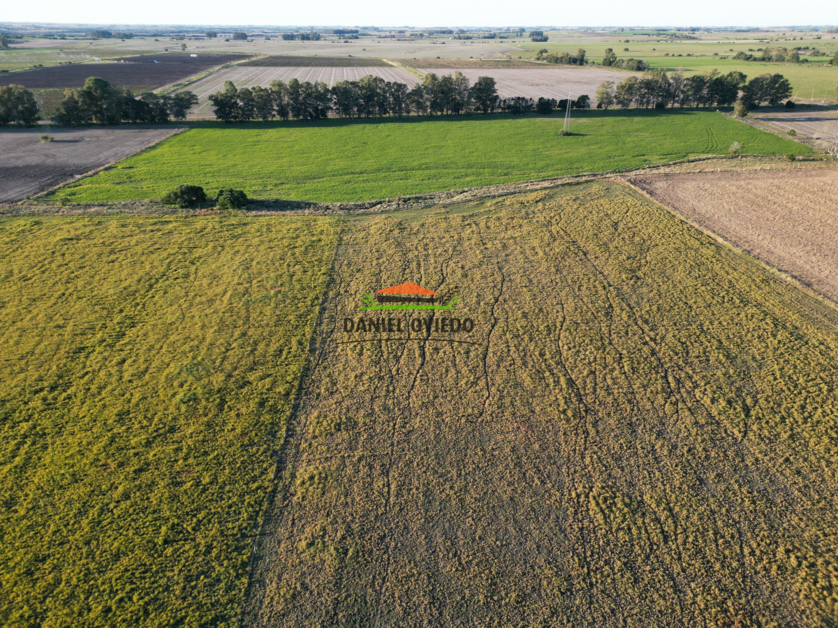 Campo Ref.209 - Excepcional ubicación en ruta 1 y campo productivo donde nadie vende.
