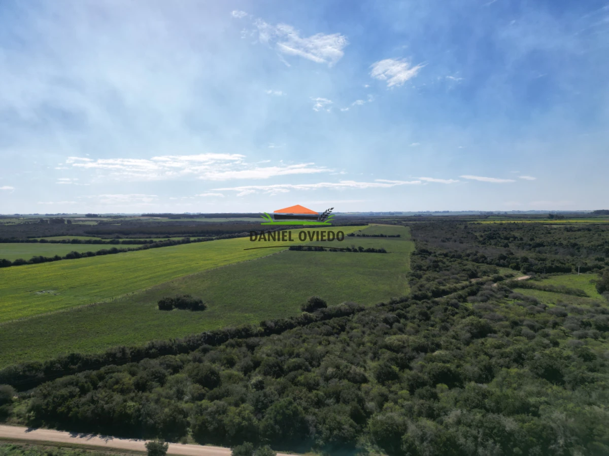 Campo Ref.414/ - ¡Nueva oportunidad rural proxima a Conchillas!