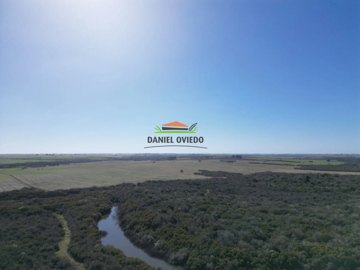 Campo Ref.243/Campo-agrícola-ganadero-en-venta-con-costa-de-arroyo. - Campo agrícola ganadero en venta con costa de arroyo.